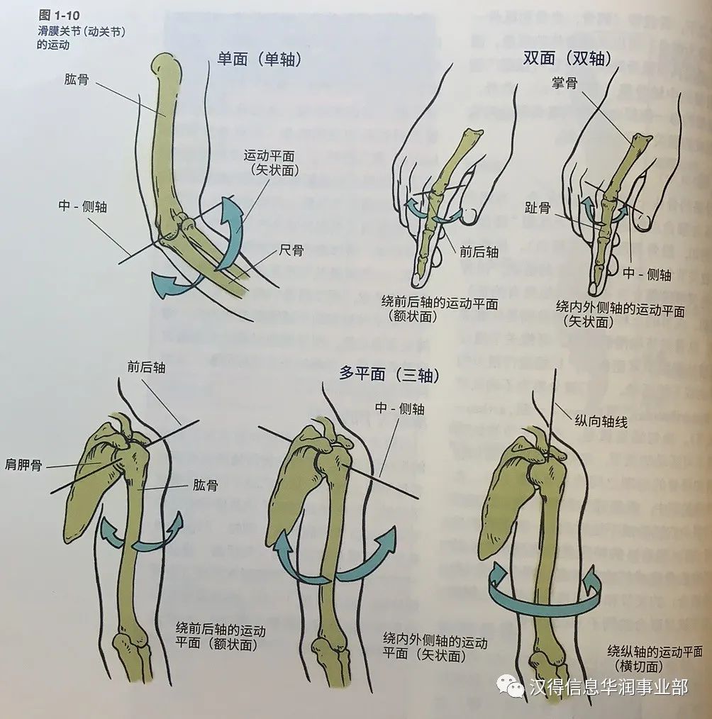 哪个品牌的健身手套好_什么牌子的健身手套好_手套牌子健身好吗